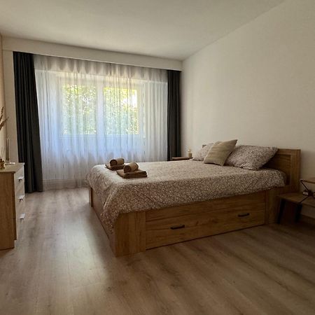 Lareina Apartament Cluj-Napoca Exterior foto
